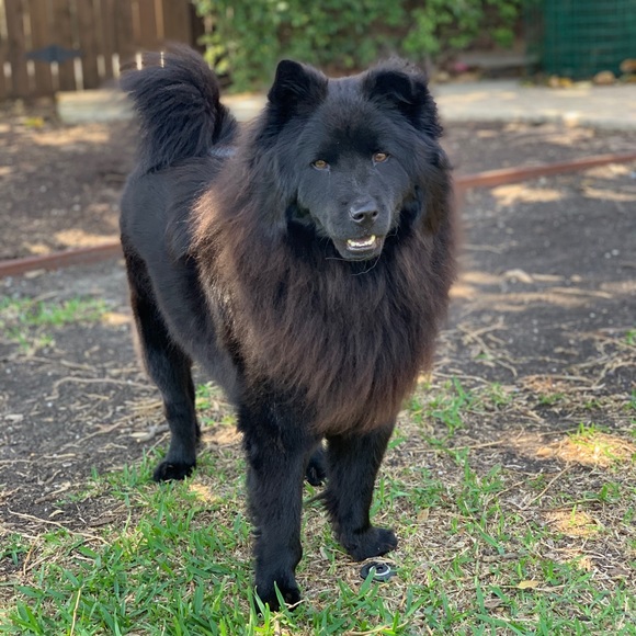 Meet your Posher, Emily - Picture 3 of 16